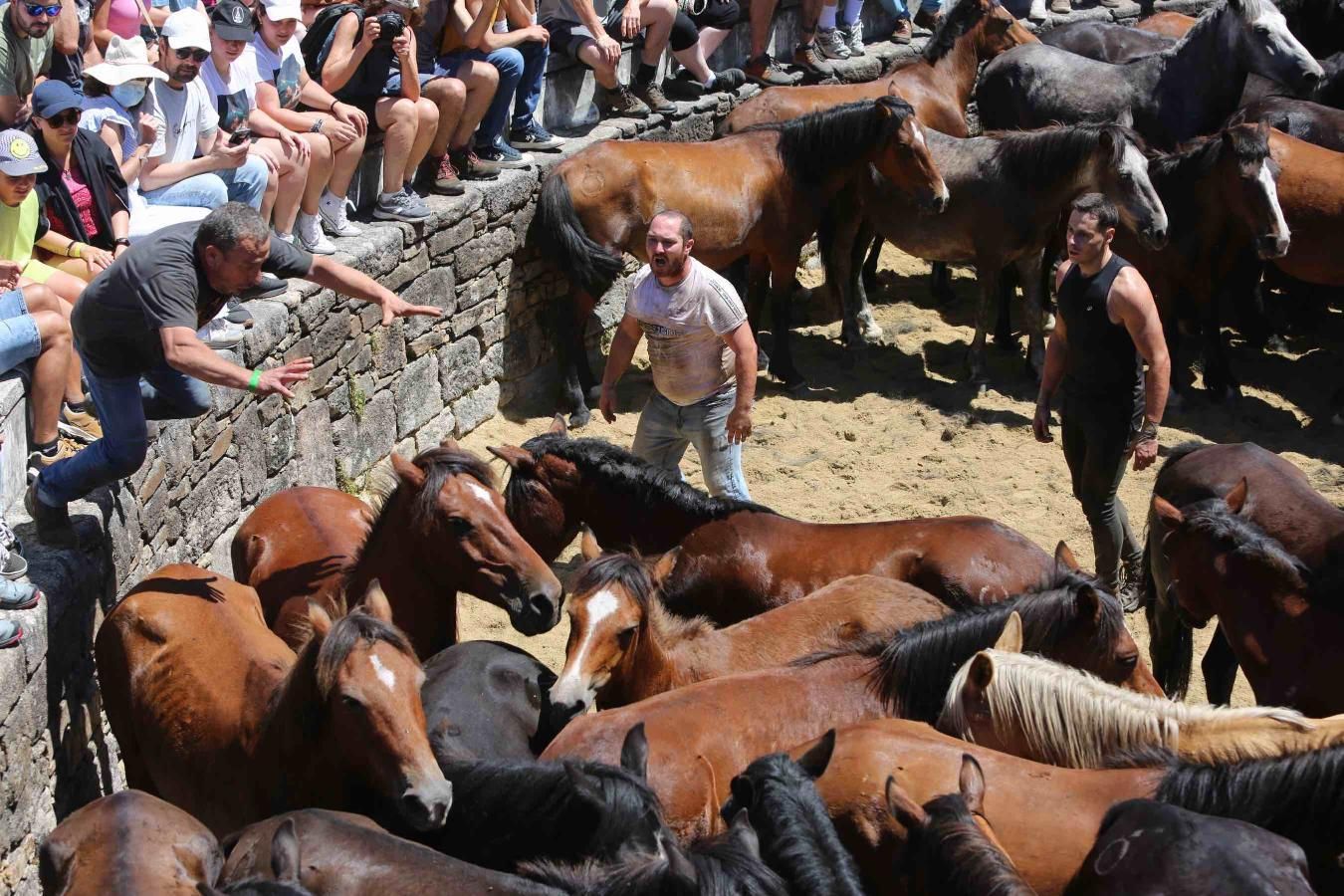 Las imágenes de la jornada de domingo de la Rapa das Bestas