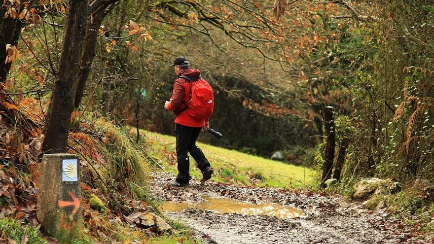 El Camino de Santiago como motor económico