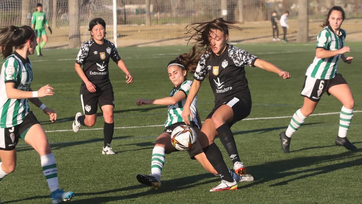 La cordobesista Andrea Blanco trata de interceptar el avance de una jugadora del Cacereño.