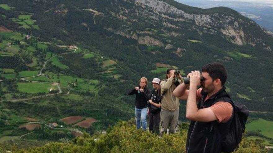 Moment del cens de diumenge, pujant al Montnou