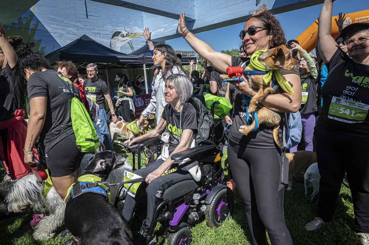 CAN WE RUN BARCELONA. La carrera organizada por Prensa Ibérica y El Periódico de Catalunya con la colaboración de Sport ,  donde las personas y sus mascotas perrunas corren en familia