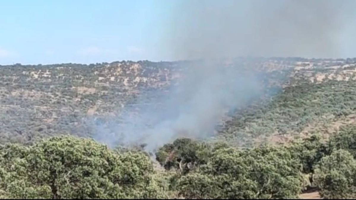 Columna de humo procedente del incendio forestal en Torrecampo.
