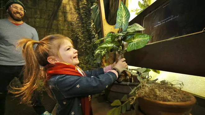 La exposición inmersiva de Harry Potter llega a Barcelona