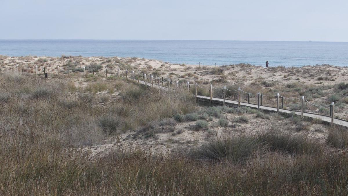 Paraje dels Muntanyans, en Torredembarra (Tarragonès). 