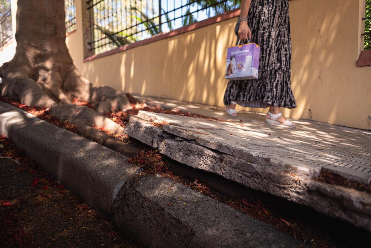 La asociación de vecinos Las Palmitas reclama la mejora en los accesos del colegio Villa Ascensión.