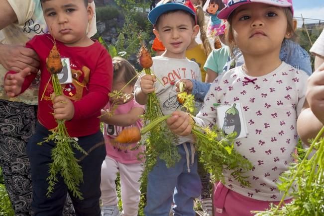 Reportaje del programa educativo "Conozcamos el ...