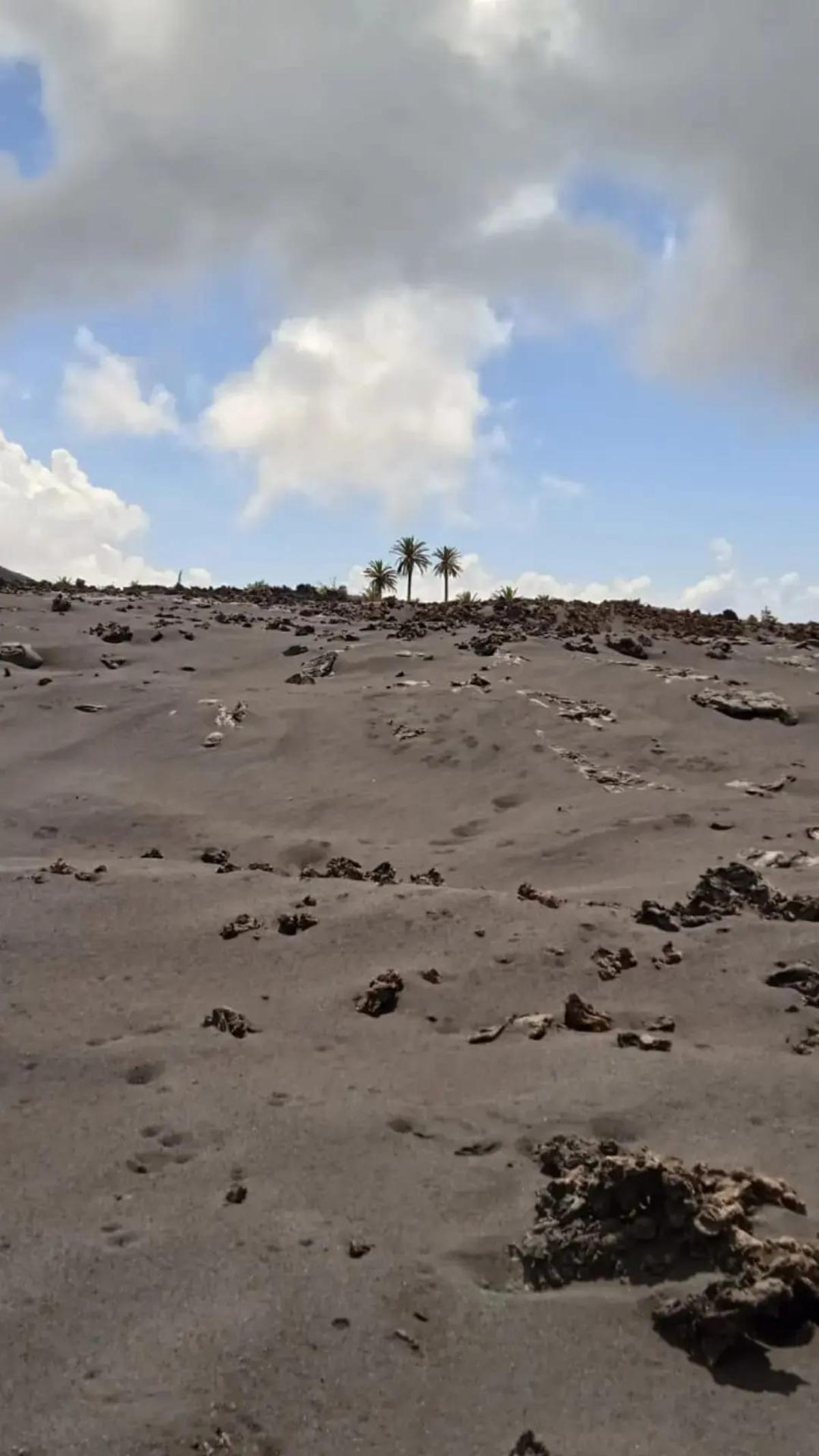 Paisaje palmero dejado por el volcán