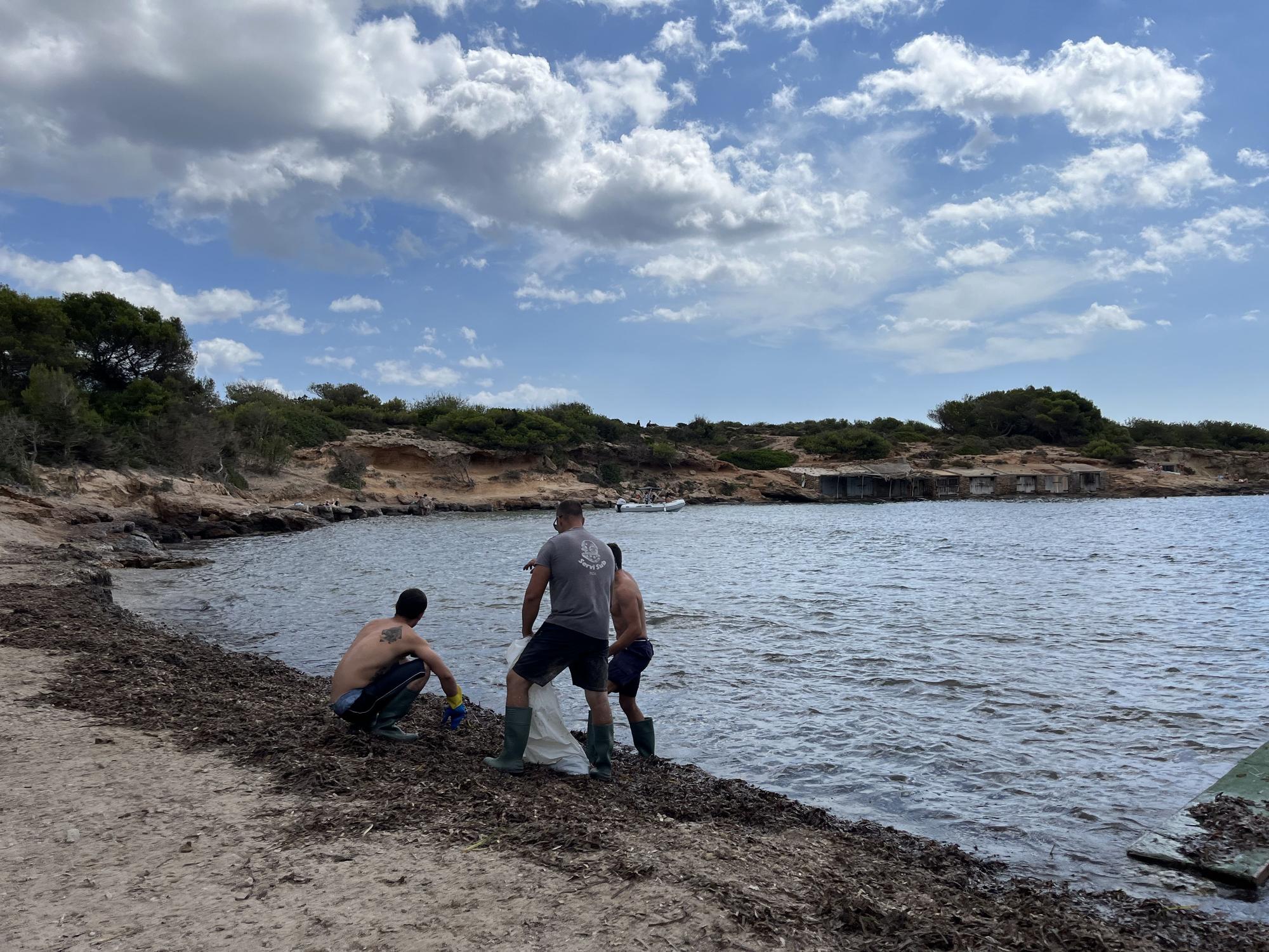 Hundimiento del yate en Ibiza: «Un trabajo muy duro» entre la posidonia de s’Estanyol