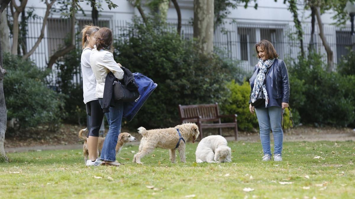 Cornellà repartirá botellas de agua a los propietarios de perros para que rieguen los orines
