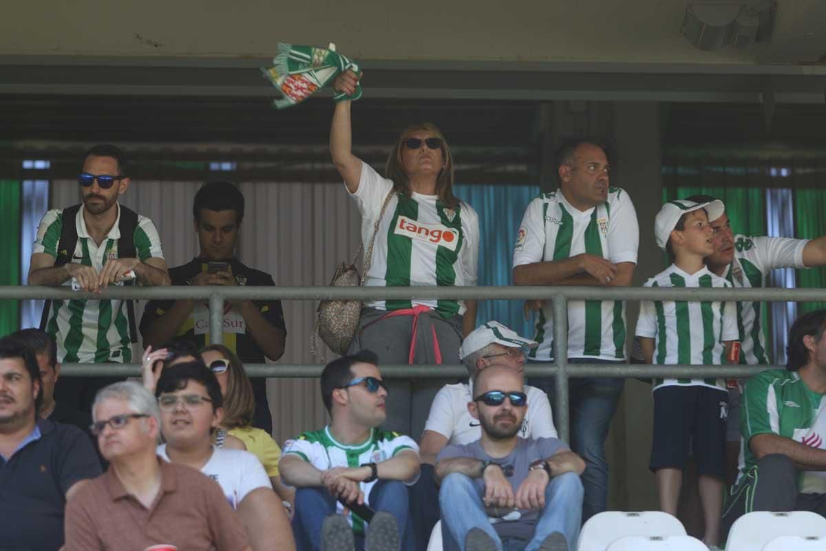 Así vivió la afición la derrota del Córdoba ante el Huesca