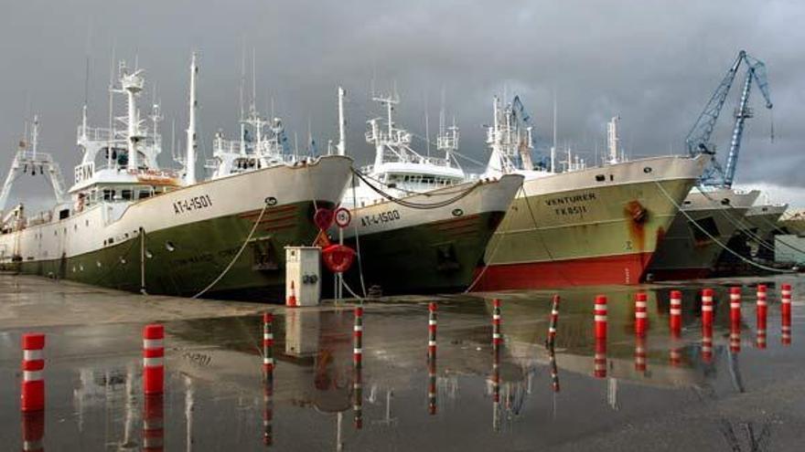 Varios buques arrastreros que faenan en Nafo, en el puerto de Vigo.