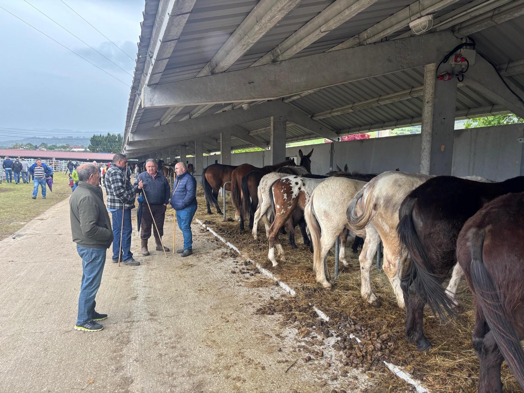 EN IMÁGENES: El domingo de San Isidro en Llanera