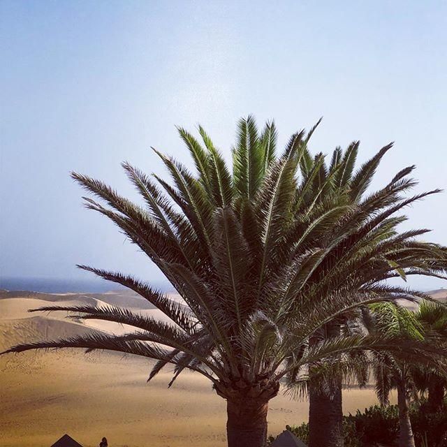 Playa del Inglés mola en Instagram