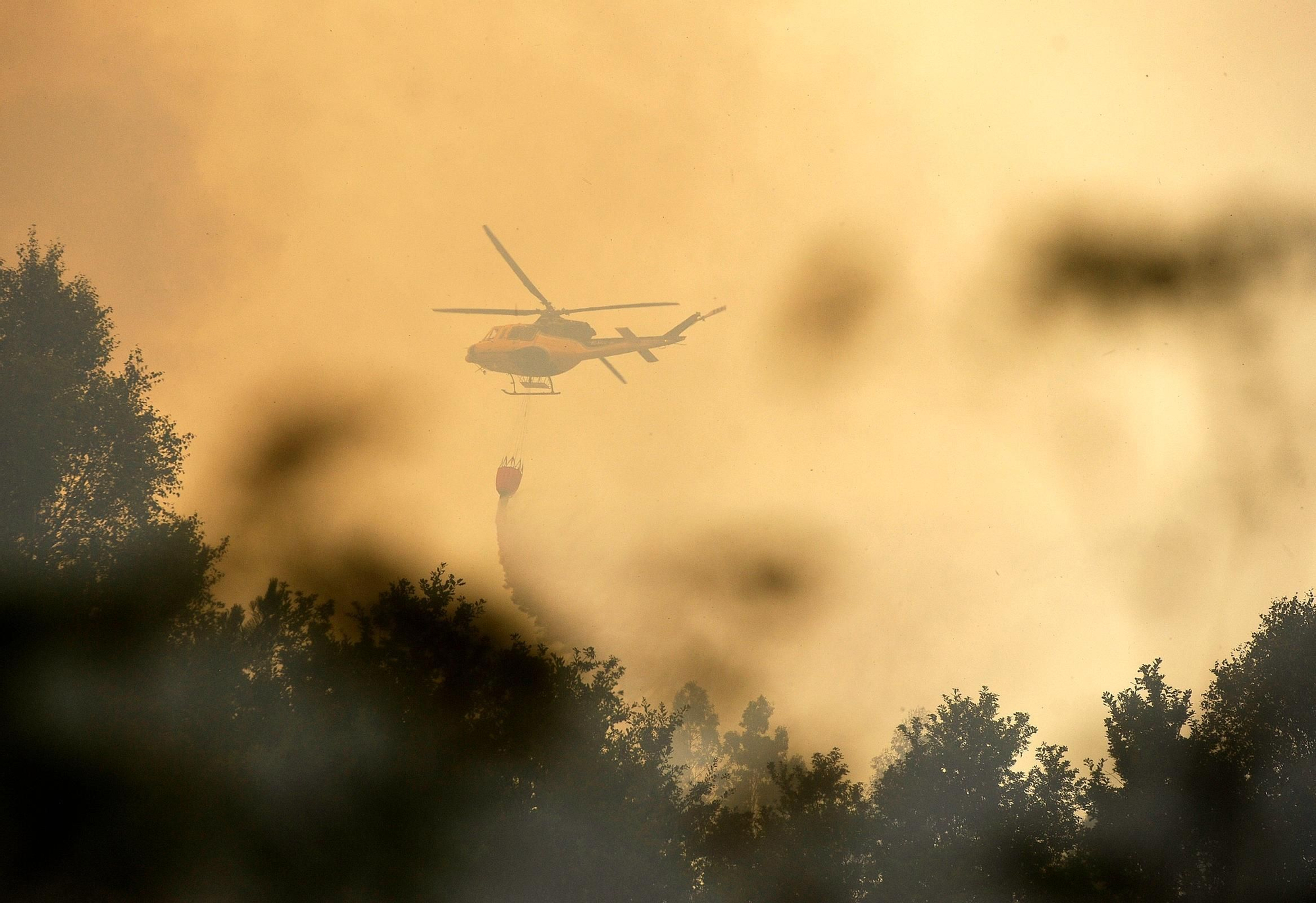 Una chispa provoca un incendio forestal en Lalín
