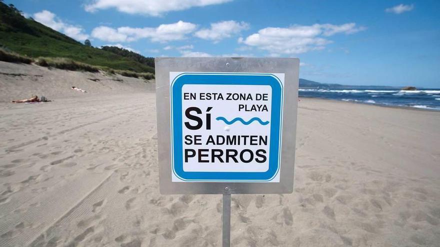 Zona habilitada para perros en la playa de Bayas el verano pasado.