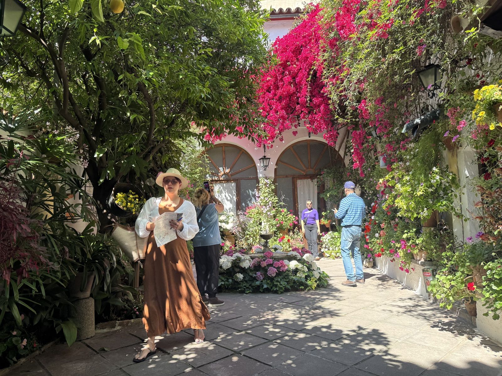 La Ruta 3 de los Patios de Córdoba, en imágenes