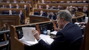 Alberto Núñez Feijóo, durante la comparecencia de Pedro Sánchez en el Congreso.
