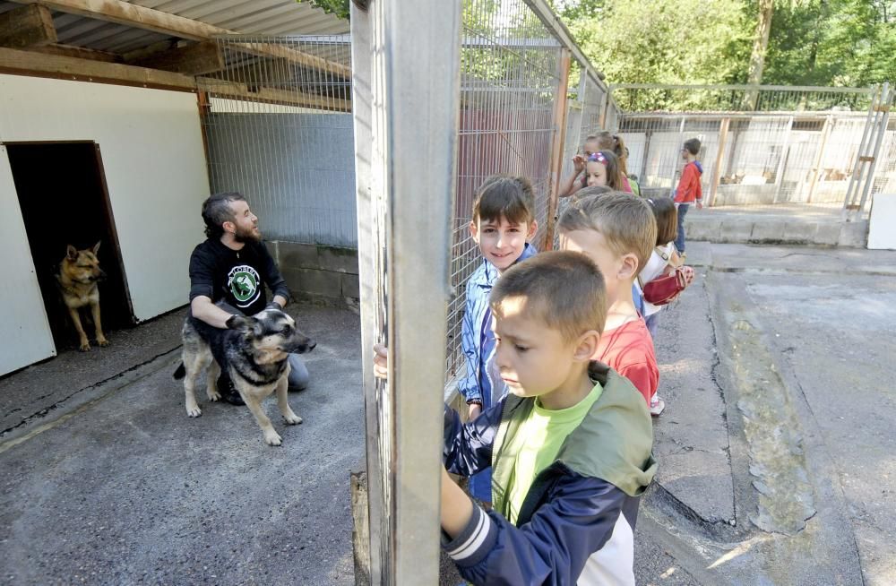 Visita de escolares a la protectora 'El Trasgu' en Mieres