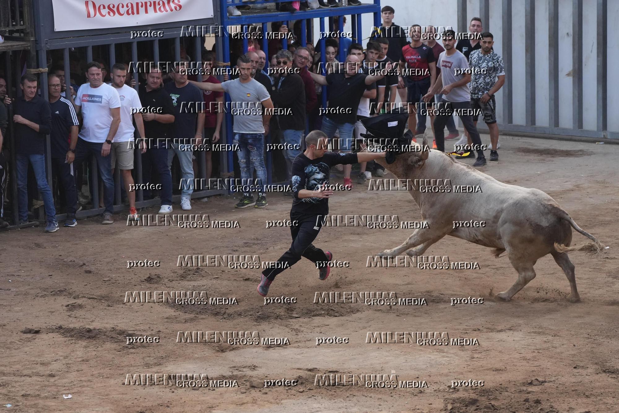 Galería de fotos de la última tarde de toros de la Fira en Onda