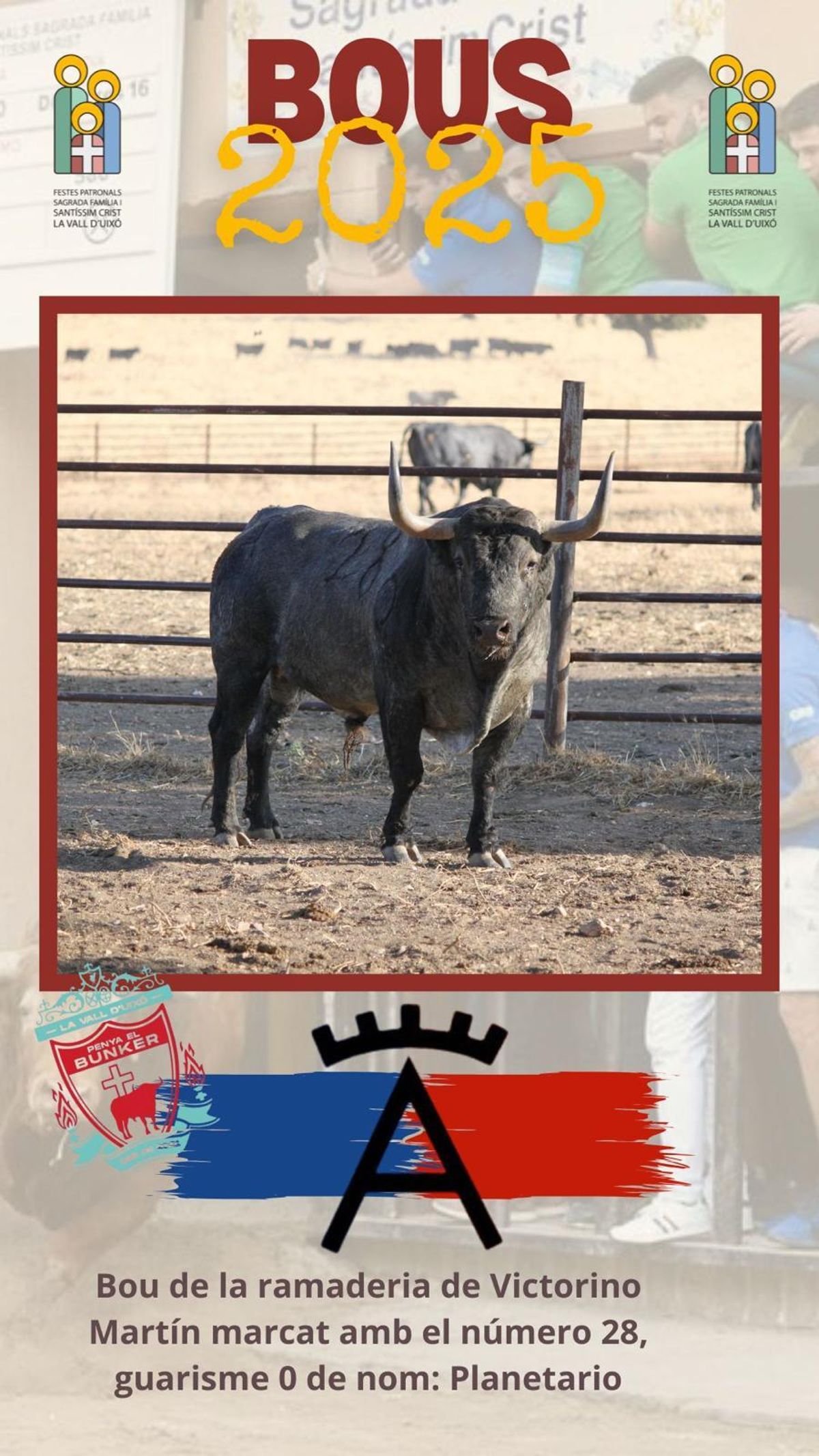 Cartel con el que las fiestas patronales han anunciado este martes la adquisición del toro de Victorino Martín.