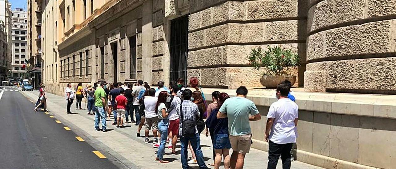 Cola en el Ayuntamiento de València en el primer día de apertura de padrón, hace un mes.