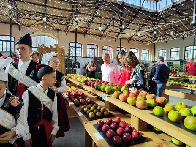 El Festival de la Manzana tiñe de rojo y verde Villaviciosa: trescientos lotes participan en el concurso de mesa