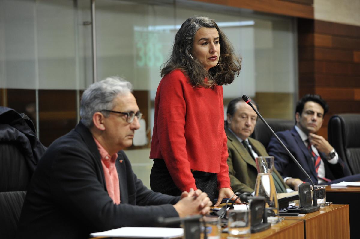 La portavoz de Unidas por Extremadura, Irene de Miguel, durante una intervención en el pleno de la Asamblea.