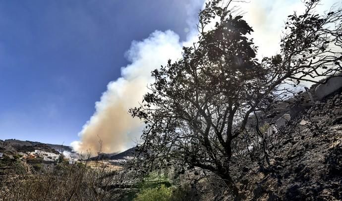 ARTENARA. Incendio en la Cumbre.Barrio de Las Peñas  | 11/08/2019 | Fotógrafo: José Pérez Curbelo