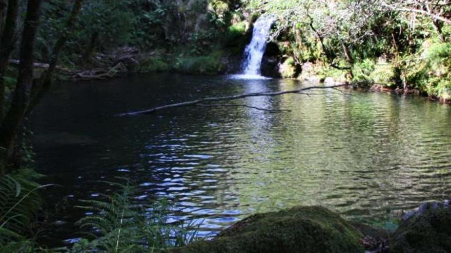 O pozo Sangoento (río do Seixo) é un dos lugares onde se di ter visto o fabuloso réptil.