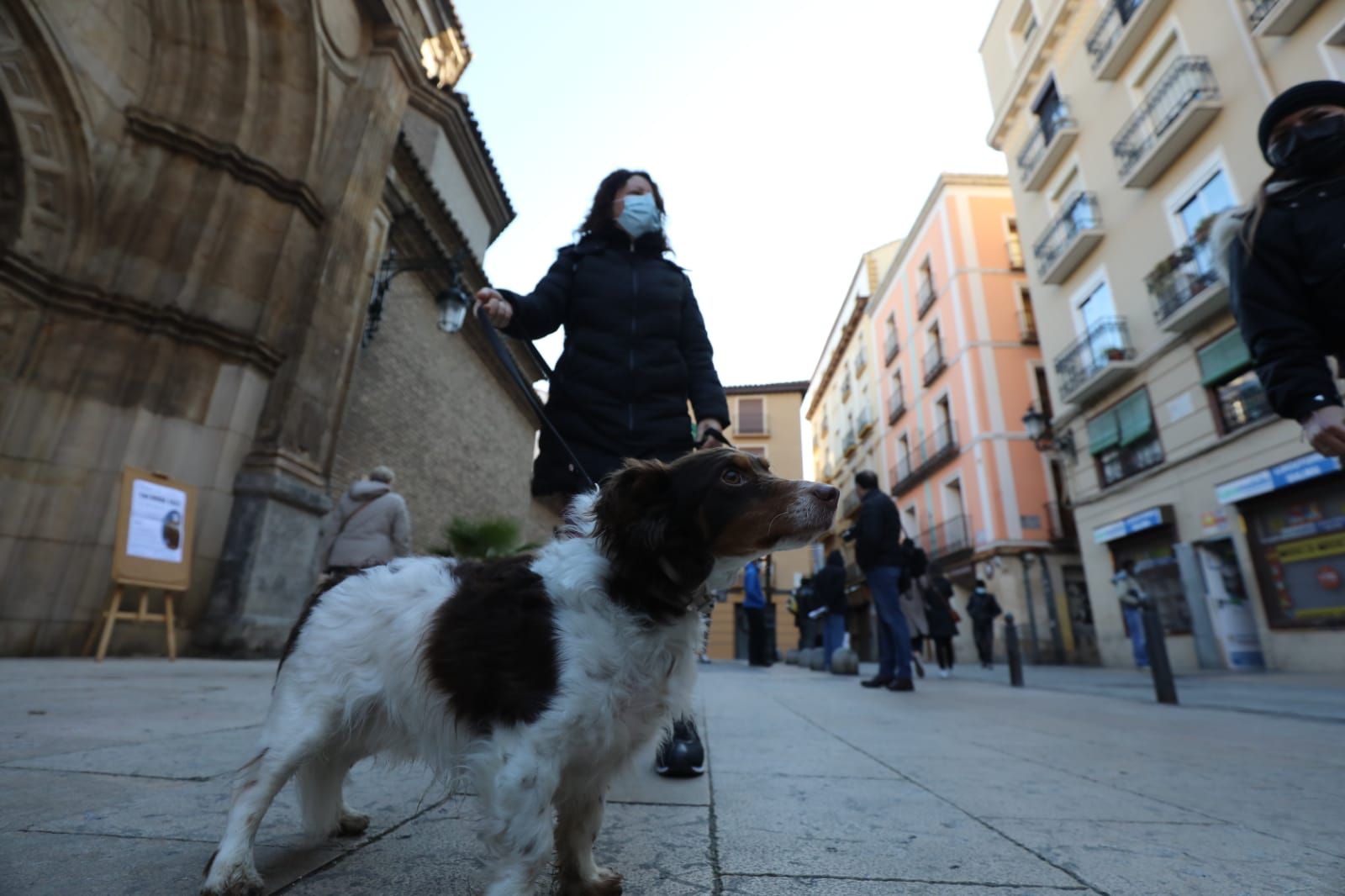 Luque era la primera vez que acudía a la bendición de las mascotas.