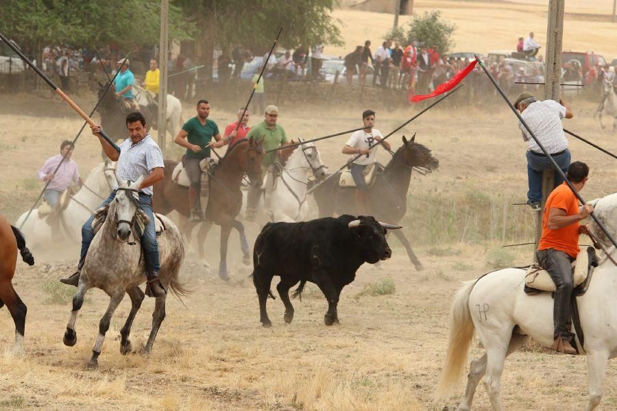 Segundo encierro taurino en Guarrate