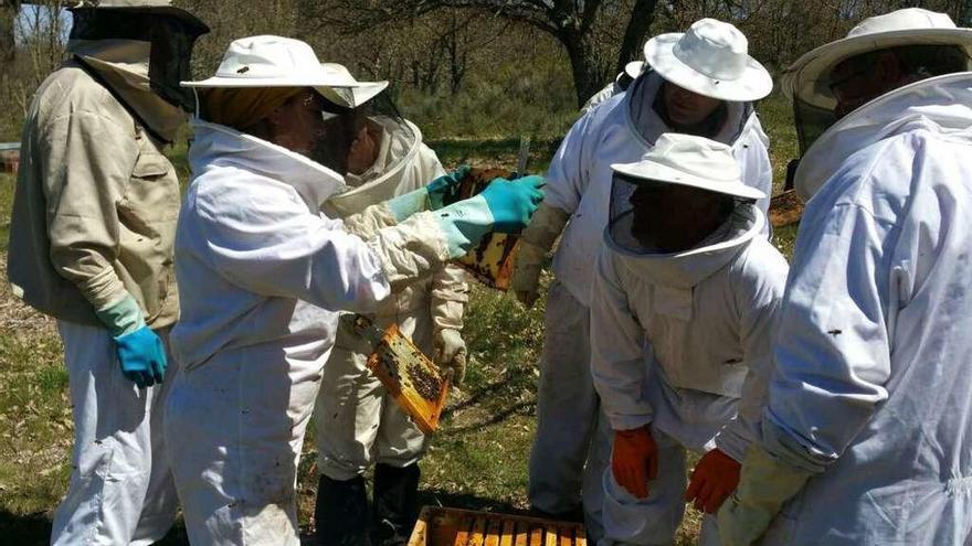 Los apicultores durante la jornada formativa aprenden sobre el manejo de las colmenas.