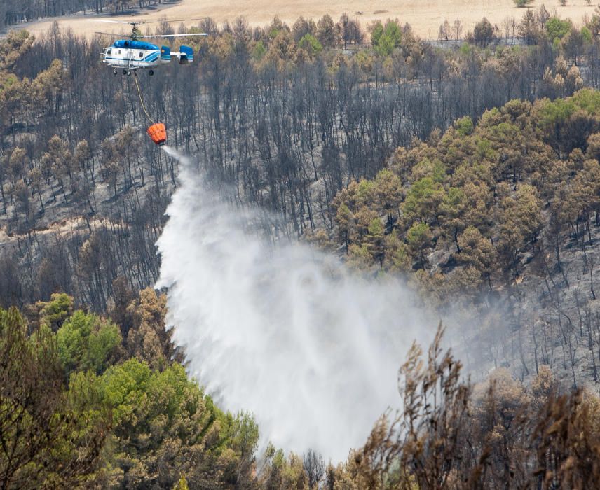 Así fue el incendio de Torremanzanas (agosto,2012)