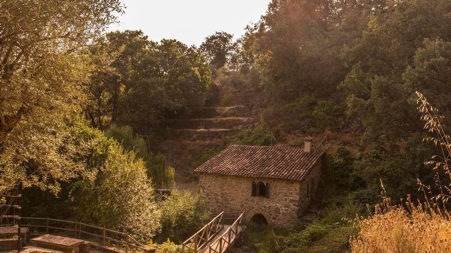La Vera busca que su patrimonio agrícola sea reconocido a nivel mundial