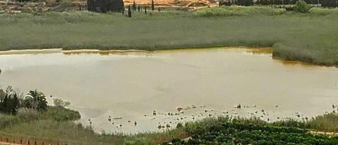 Cullera reclama la limpieza de los &quot;ullals&quot; para &quot;salvar&quot; la laguna de Sant Llorenç