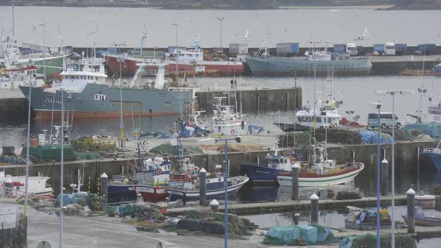 Embarcaciones pesqueras amarradas en el muelle coruñés de Oza.