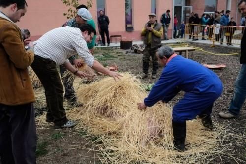 Matanza tradicional en Monfarracinos