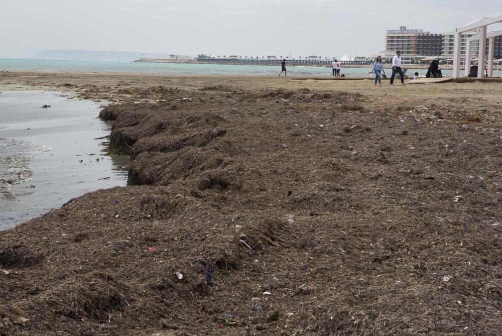 El temporal causa daños en las playas de Alicante