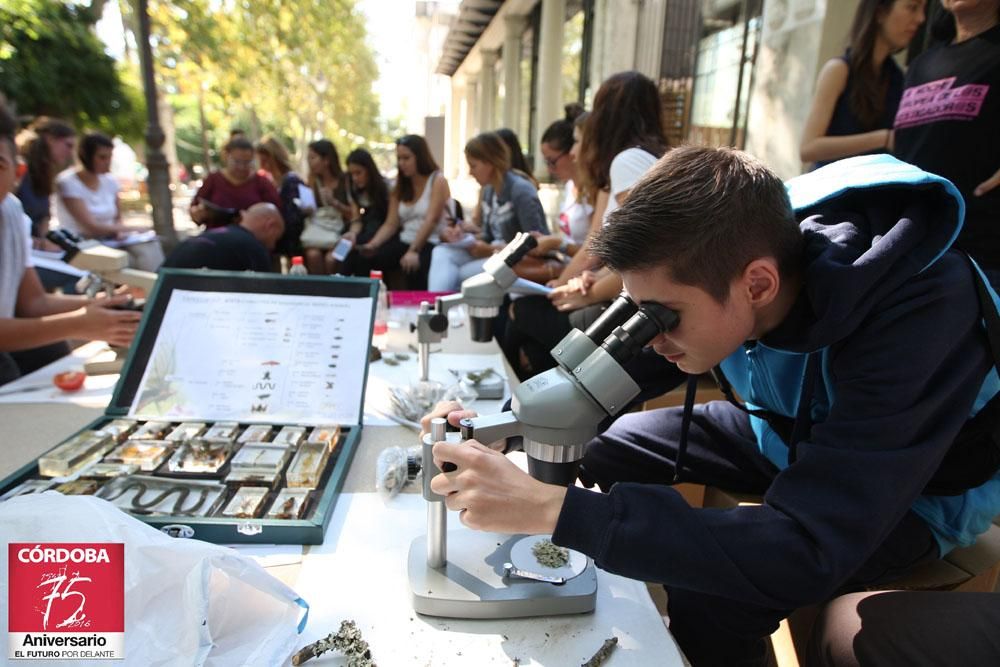 FOTOGALERÍA / Noche Europea de los Investigadores