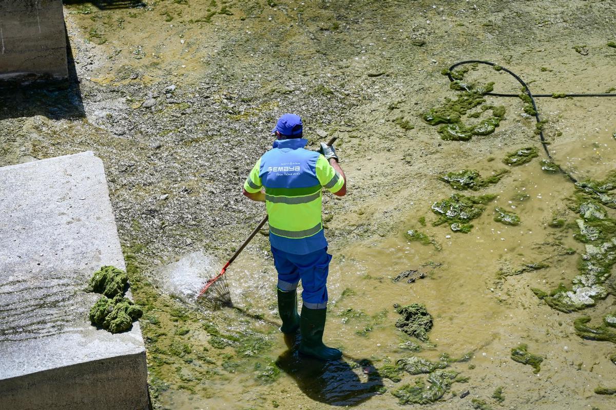 Emaya inicia la limpieza anual y puesta a punto del cauce del torrente de sa Riera