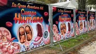 La Navidad de Vigo suma una exposición "gigante" sobre el cuerpo humano