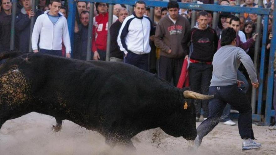 Castellón bate récords con 5.364 festejos de &#039;bous al carrer&#039;