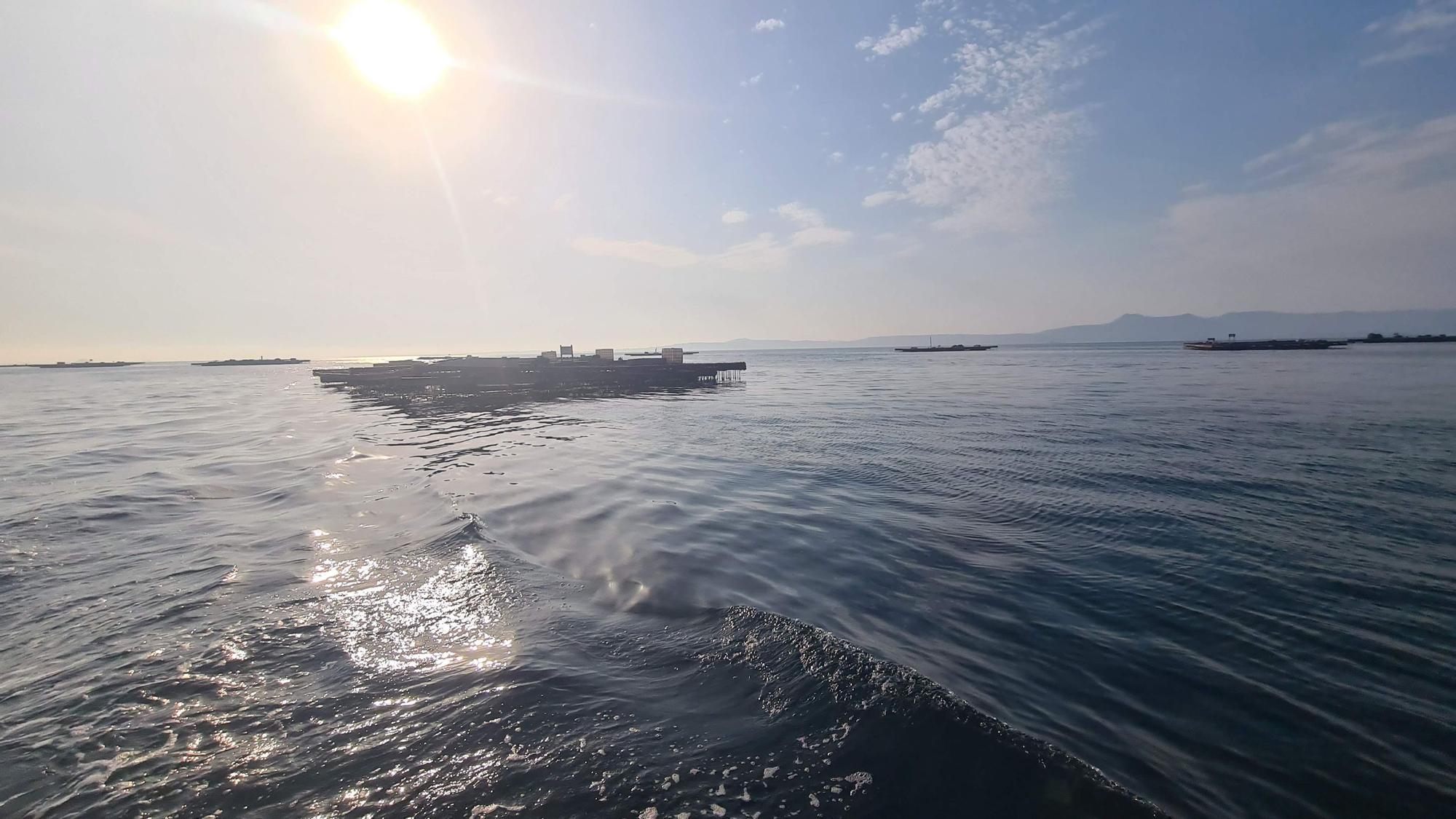 De visita en las Islas Atlánticas de Galicia a bordo del aula flotante "Chasula".