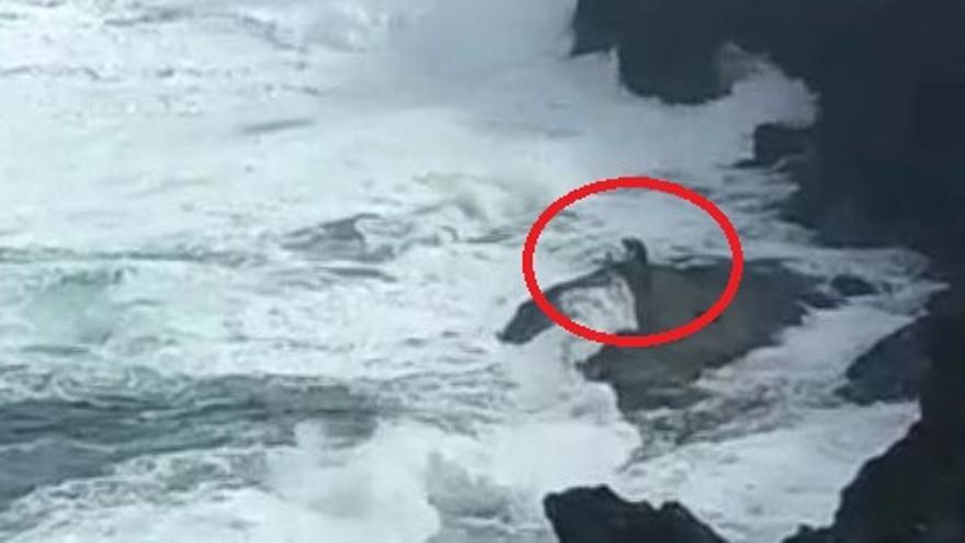 Un pescador desafía el mal tiempo en la costa de Guía