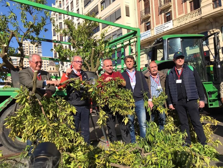 Inicio de la manifestación de agricultores de hoy en València