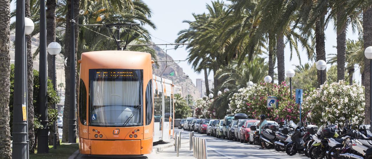 Un unidad del tranvía circulando por la playa del Postiguet