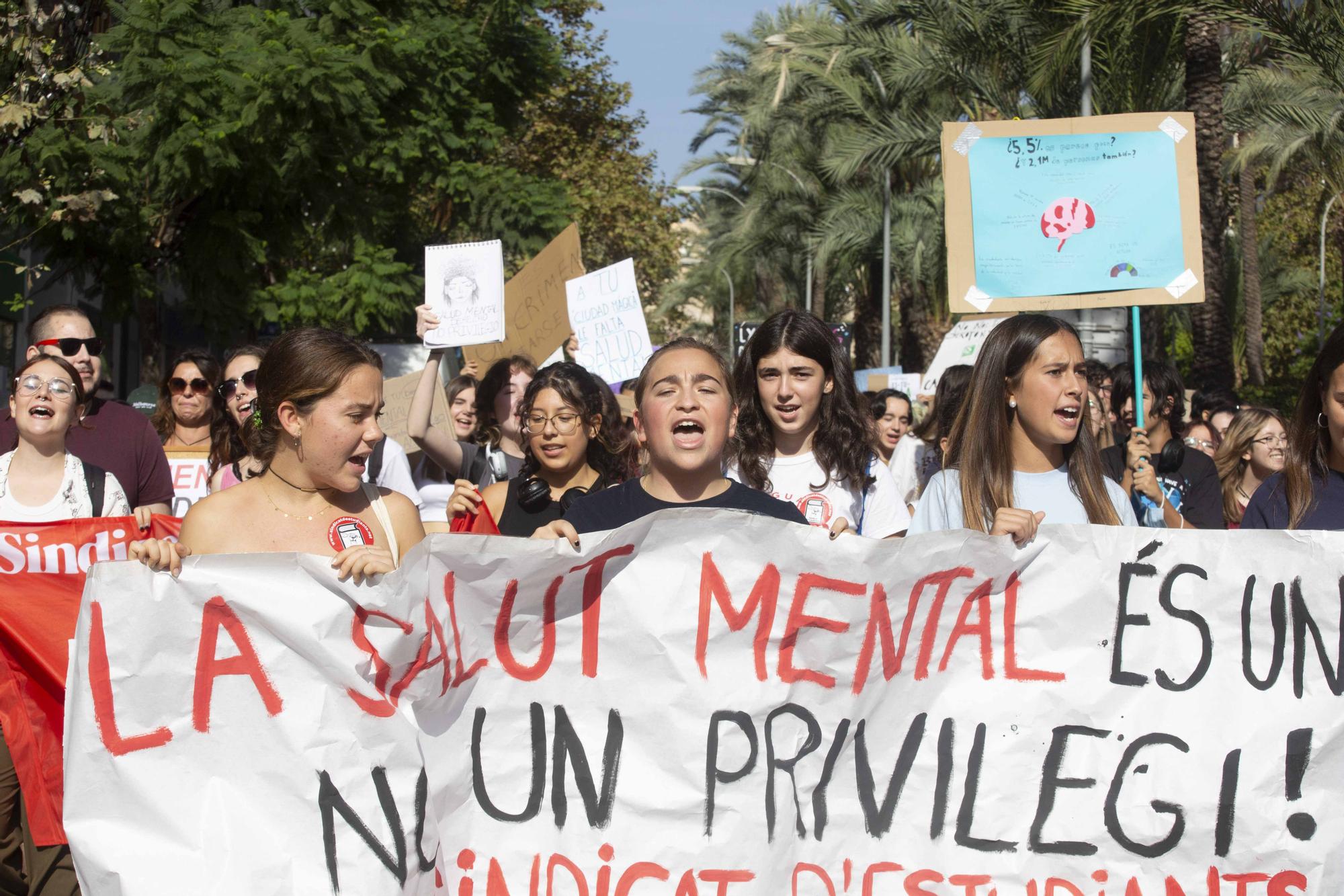 Estudiantes de Alicante reclamar más medios para la salud mental a Sanidad
