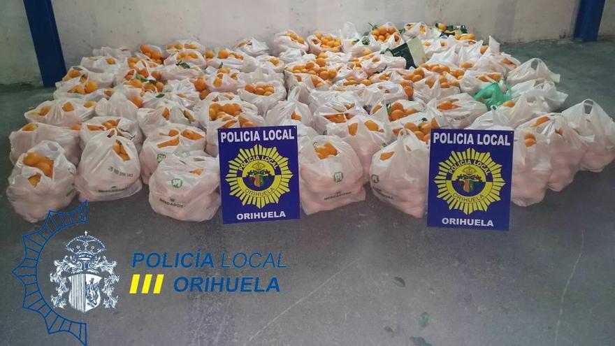 La Policía sorprende a 7 personas robando 1.200 kilos de naranjas en Orihuela