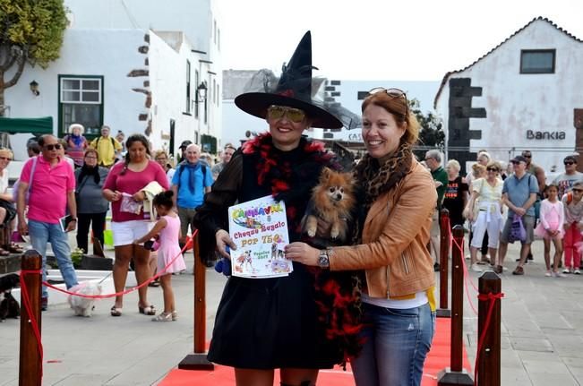 Concurso de disfraces de mascotas en Teguise