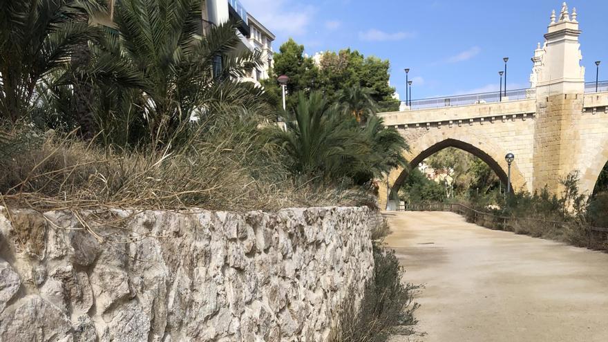 Maleza en la zona del puente de Santa Teresa, en Elche